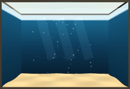 a reef